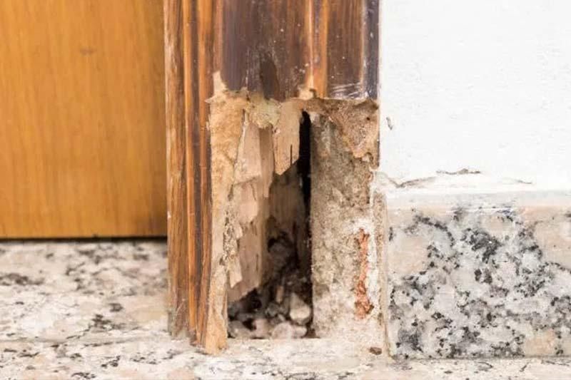 Does My Door Need to Be Replaced