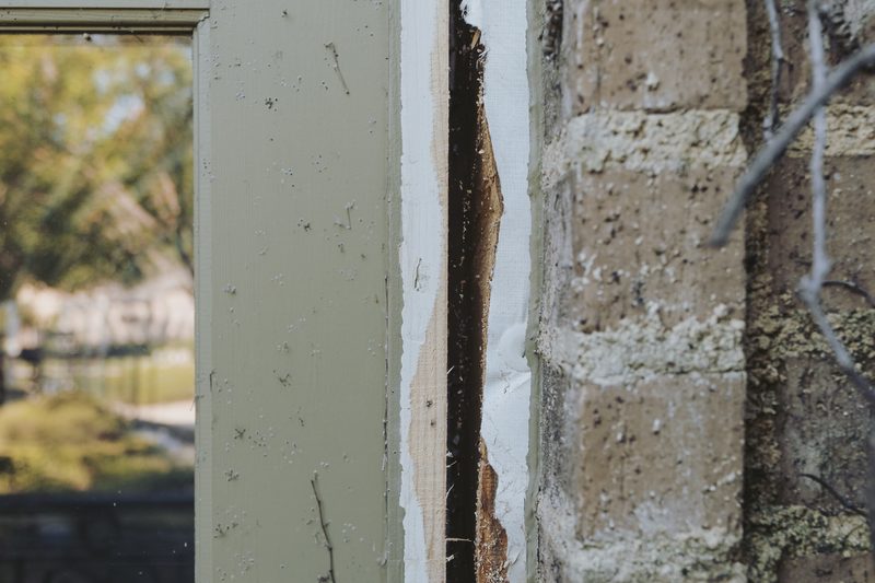 Door Rot Repair in Carrollton